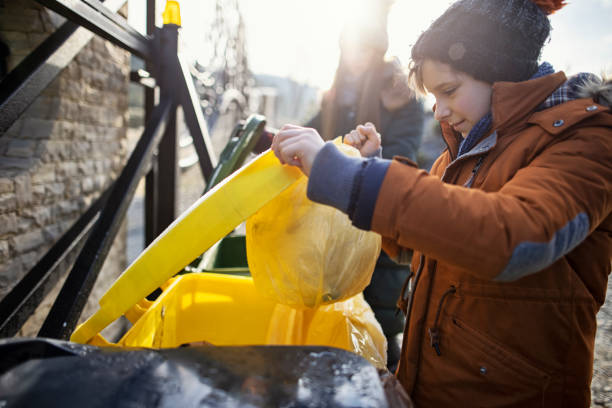 Yard Cleanup Services